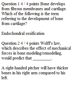 Week 8 Quiz 6